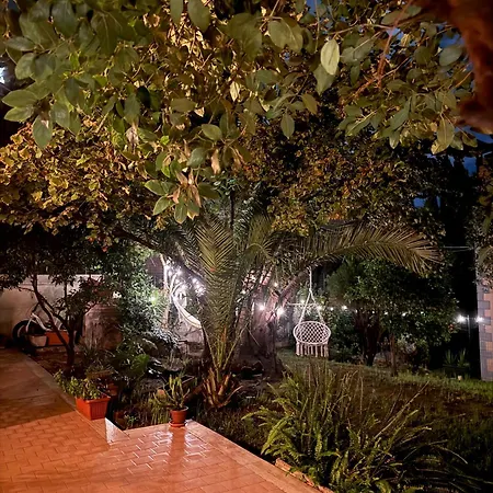 Urban Oasis *